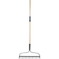 Heavy-Duty Bow Rake, Wood Handle, 58" L, 15" Blade, 15 Tines Les Distributions ICE