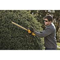 MAX* Hedge Trimmer, 22", 20 V, Battery Powered Les Distributions ICE