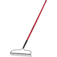 Bow Rake, Fibreglass Handle, 66" L, 16-4/5" Blade, 16 Tines Les Distributions ICE