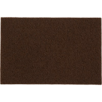 Tampons manuels Bear-Tex, Oxyde d'aluminium, 6" x 9", Grain Moyen Les Distributions ICE