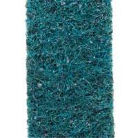 Courroie de conditionnement de surface Scotch-Brite Les Distributions ICE