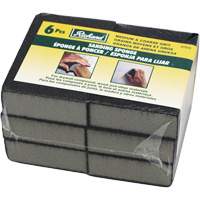 Wet and Dry Sanding Sponges Les Distributions ICE