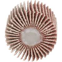 Flap Disc 747D, Aluminum Oxide/Ceramic, 80 Grit, 1" x 1" x 1/4" Les Distributions ICE