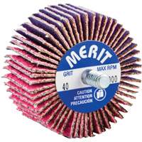 Threaded Mini Flap Wheel, Ceramic Alumina, 40 Grit, 2" x 1" x 1/4"-20 Les Distributions ICE