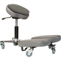 Specialty Seating
