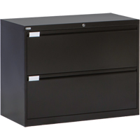 Lateral Filing Cabinet, Steel, 2 Drawers, 36" W x 18" D x 27-7/8" H, Black Les Distributions ICE