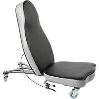 Flex 2 Ergonomic Chair, Vinyl, Black Les Distributions ICE