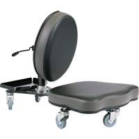 Flex Ergonomic Chair, Vinyl, Black/Grey Les Distributions ICE