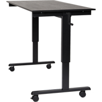Adjustable Stand-Up Desk, Stand-Alone Desk, 48-1/2" H x 59" W x 29-1/2" D, Black Les Distributions ICE