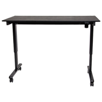 Adjustable Stand-Up Desk, Stand-Alone Desk, 45-1/4" H x 29-1/2" D, Black Les Distributions ICE