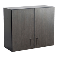 Armoire modulaire murale, 30" h x 36" la x 15" p, 1 tablettes, M&eacute;lamine, Nuit d'Asie/noir Les Distributions ICE