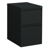 Vertical Filing Cabinet, Steel, 2 Drawers, 18-1/7" W x 25" D x 29" H, Black Les Distributions ICE