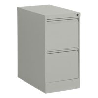 Vertical Filing Cabinet, Steel, 2 Drawers, 15-1/7" W x 25" D x 29" H, Grey Les Distributions ICE