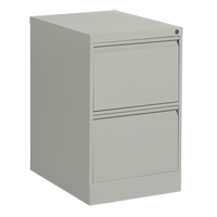 Vertical Filing Cabinet, Steel, 2 Drawers, 18-1/7" W x 25" D x 29" H, Grey Les Distributions ICE
