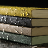 Field-Flex Bound Book, Soft Cover, Black, 128 Pages, 4-5/8" W x 7-1/4" L Les Distributions ICE