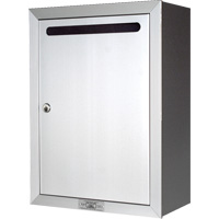 Collection Box, Surface -Mounted, 16-3/16" x 11-3/4", Aluminum Les Distributions ICE