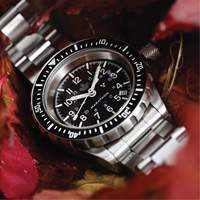 Grey Maple Large Diver's Automatic Watch with Stainless Steel Bracelet, Digital, Battery Operated, 41 mm, Silver Les Distributions ICE