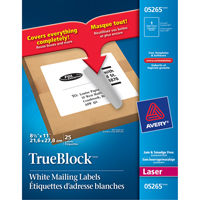 &eacute;tiquettes d'exp&eacute;dition au laser TrueBlock, 11" la x 8,5" la x Blanc Les Distributions ICE