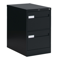Vertical Filing Cabinet with Recessed Drawer Handles, 2 Drawers, 18.15" W x 26.56" D x 29" H, Black Les Distributions ICE