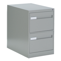 Vertical Filing Cabinet with Recessed Drawer Handles, 2 Drawers, 18.15" W x 26.56" D x 29" H, Grey Les Distributions ICE
