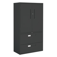 Multi-Stor Cabinet, Steel, 3 Shelves, 65-1/4" H x 36" W x 18" D, Black Les Distributions ICE