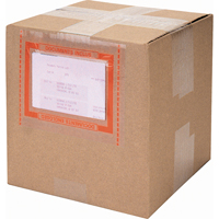 Pouch Tape Systems, 3149-61/100" L x 4-24/25" W Les Distributions ICE