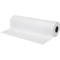 Papier, Papier journal, 12" x 1695', 30 lb, Rouleau Les Distributions ICE
