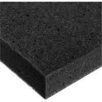 Feuille de mousse, Standard, &eacute;paisseur 2", 108" lo x 24" la Les Distributions ICE