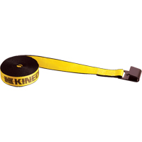 Tendeurs d'arrimage pour treuil, Crochet plat, 2" , 30' , Charge d'utilisation max. 3335 lb (1513 kg) Les Distributions ICE
