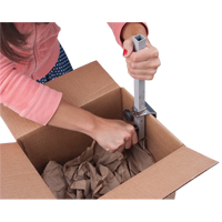 Carton Sizer Les Distributions ICE