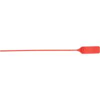 Heavy-Duty Security Seal, 13", Plastic, Pull-Up Seal Les Distributions ICE