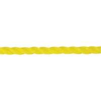 Corde jaune tress&eacute;e 1/4", Polypropyl&egrave;ne, 1300' Les Distributions ICE