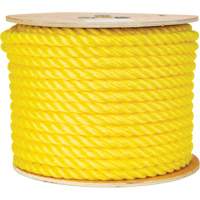 Corde jaune tress&eacute;e 5/8", Polypropyl&egrave;ne, 200' Les Distributions ICE