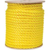 Corde jaune tress&eacute;e, Polypropyl&egrave;ne, 300' Les Distributions ICE