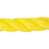 Corde jaune tress&eacute;e, Polypropyl&egrave;ne, 300' Les Distributions ICE