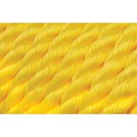 Corde jaune tress&eacute;e, Polypropyl&egrave;ne, 300' Les Distributions ICE