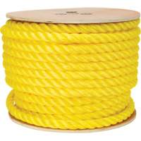 Corde jaune tress&eacute;e, Polypropyl&egrave;ne, 144' Les Distributions ICE