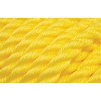 Corde jaune tress&eacute;e, Polypropyl&egrave;ne, 144' Les Distributions ICE
