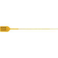 Standard-Duty Security Seal, 9", Plastic, Pull-Through Les Distributions ICE
