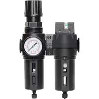 Manual Drain Filter, Regulator & Coalescing Filter with Standard Bowl Modulair 300, 1/4" NPT, 150 PSI, 5.1 fl. oz. Capacity Les Distributions ICE