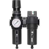 Filter/Regulator & Coalescing Filter Modulair 300 with Standard Bowl & Manual Drain, 3/8" NPTF, 150 PSI, 5.12 fl. oz. Capacity Les Distributions ICE
