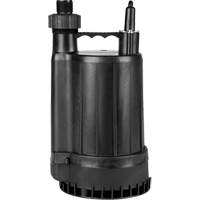 Pompe utilitaire en thermoplastique, 115 V, 2200 gal/h, 1/4 CV Les Distributions ICE
