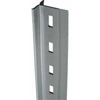 Montant en T pour rayonnage enclenchable Interlok, Acier, Hauteur 112" Les Distributions ICE