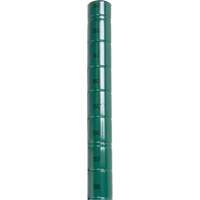 Heavy-Duty Green Epoxy Finish Wire Shelving Post Les Distributions ICE