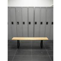 Locker Room Bench, Wood, 48" L x 9-1/2" W x 16-1/2" H Les Distributions ICE