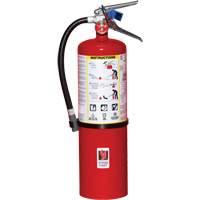 Extincteur d'incendie, ABC, Capacit&eacute; 10 lb Les Distributions ICE