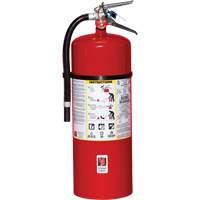 Extincteur d'incendie, ABC, Capacit&eacute; 20 lb Les Distributions ICE