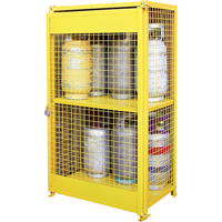 Gas Cylinder Cabinets, 12 Cylinder Capacity, 44" W x 30" D x 74" H, Yellow Les Distributions ICE