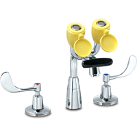 Faucet & Eyewash Station, Sink Mount Installation Les Distributions ICE
