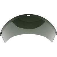 &eacute;cran facial moul&eacute;, Polycarbonate, Teinte Vert Les Distributions ICE